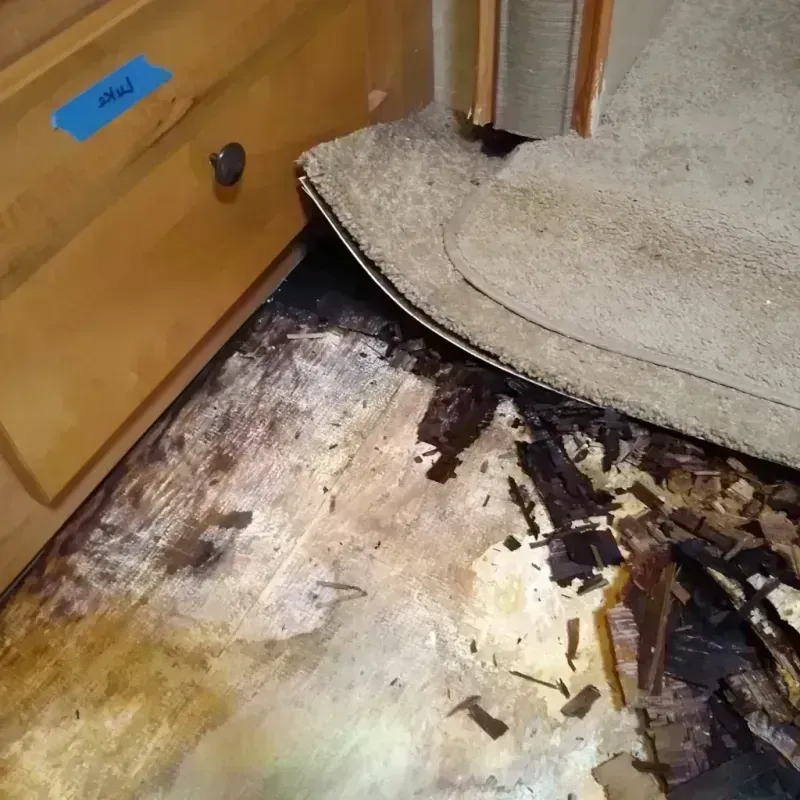 Wood Floor Water Damage in New Kent County, VA